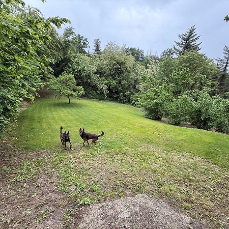 Bnb Dog And Friend Rocchetta Tanaro Екстер'єр фото