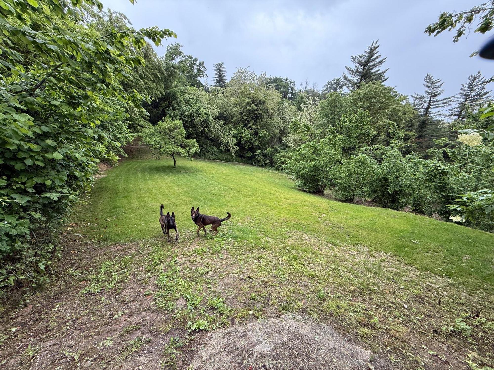 Bnb Dog And Friend Rocchetta Tanaro Екстер'єр фото